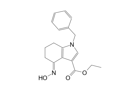 1H-indole-3-carboxylic acid, 4,5,6,7-tetrahydro-4-(hydroxyimino)-1-(phenylmethyl)-, ethyl ester, (4E)-