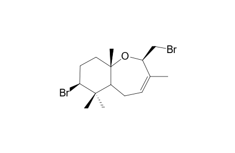 PALISADIN B