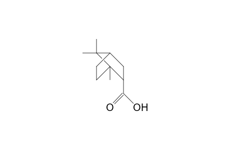 1,7,7-Trimethyl-2-endo-bicyclo(2.2.1)heptane carboxylic acid