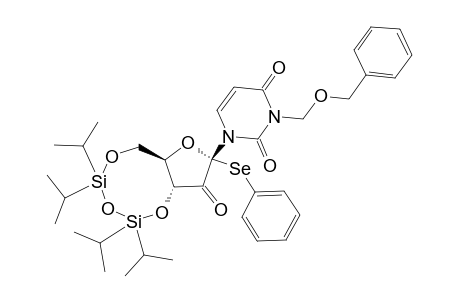 3-N-BENZYLOXYMETHYL-1-[1-PHENYLSELENO-3,5-O-(1,1,3,3-TETRAISOPROPYLDISILOXANE-1,3-DIYL)-BETA-D-ERYTHRO-2-PENTOULOFURANOSYL]-URACIL