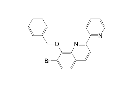 Quinoline, 7-bromo-8-(phenylmethoxy)-2-(2-pyridinyl)-