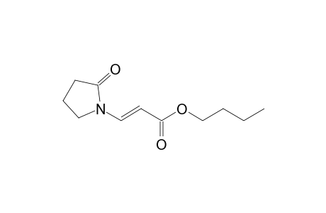 (E)-Butyl 3-(2-Oxo-pyrrolidin-1-yl)acrylate