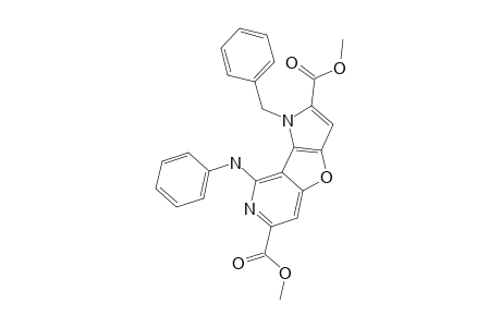 DIMETHYL-1-BENZYL-8-PHENYLAMINOPYRROLO-[2',3':4,5]-FURO-[3,2-C]-PYRIDINE-2,6-DICARBOXYLATE