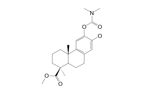 METHYL-12-N,N-DIMETHYLCARBAMOYLOXY-13-HYDROXYPODOCARPA-8,11,13-TRIEN-19-OATE