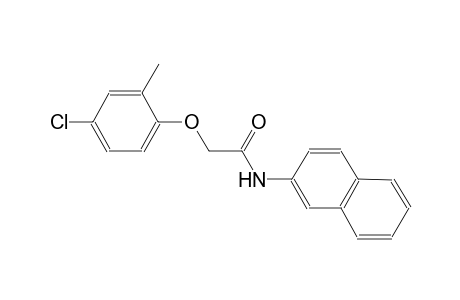 2-(4-chloro-2-methylphenoxy)-N-(2-naphthyl)acetamide