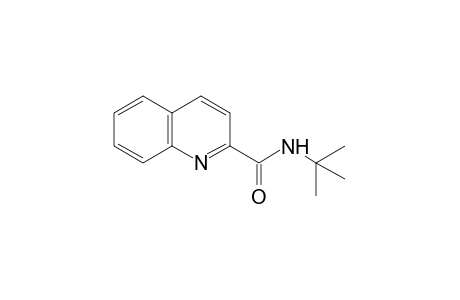 N-tert-butylquinaldamide