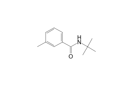 N-tert-butyl-3-methyl-benzamide