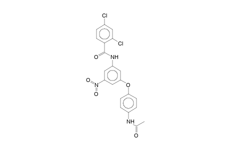 N-[3-(4-acetamidophenoxy)-5-nitro-phenyl]-2,4-bis(chloranyl)benzamide
