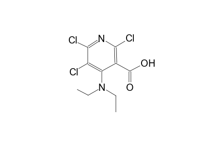 3-pyridinecarboxylic acid, 2,5,6-trichloro-4-(diethylamino)-