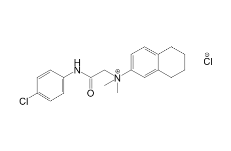 {[(p-chlorophenyl)carbamoyl]methyl}dimethyl[(5,6,7,8-tetrahydro-2-naphthyl)methyl]ammoniun chloride