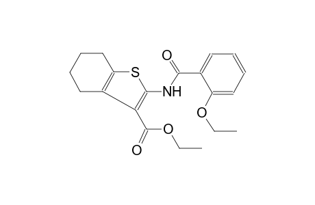 ethyl 2-[(2-ethoxybenzoyl)amino]-4,5,6,7-tetrahydro-1-benzothiophene-3-carboxylate