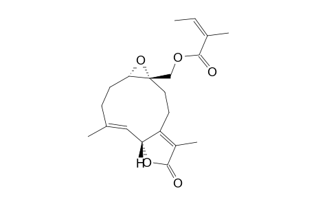 TORIOLIDE,OXY