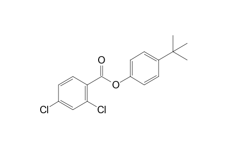 2,4-dichlorobenzoic acid, p-tert-butylphenyl ester