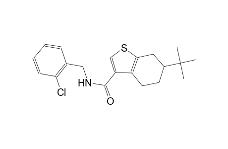 6-tert-butyl-N-(2-chlorobenzyl)-4,5,6,7-tetrahydro-1-benzothiophene-3-carboxamide