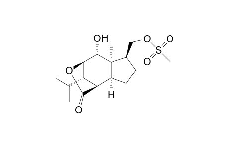 (1R,2S,5S,6R,7R,8R,11S)-5-(Mesityloxymethyl)-7-hydroxy-11-isopropyl-6-methyl-9-oxatricyclo[6.2.1.0(2,6)]undercan-10-one