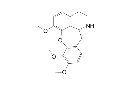 Nor-sarcocapnine