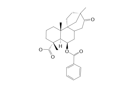 SCOPADULCIC-ACID-B