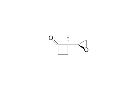 Cyclobutanone, 2-methyl-2-oxiranyl-, (R*,S*)-