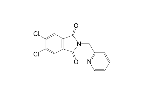 5,6-Dichloro-2-(pyridin-2-yl-methyl)isoindoline-1,3-dione