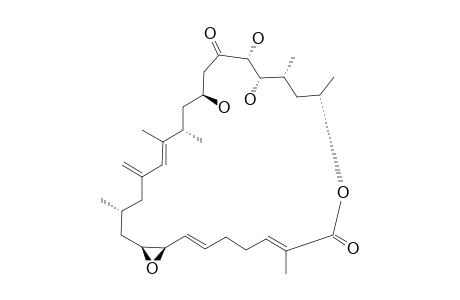 AMPHIDINOLIDE-B5