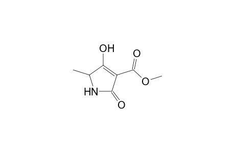 Methyl 4-hydroxy-5-methyl-2-oxo-2,5-dihydro-1H-pyrrole-3-carboxylate