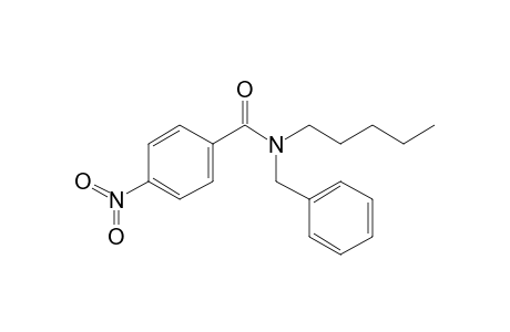 Benzamide, 4-nitro-N-benzyl-N-pentyl-