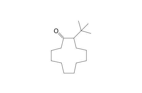 2-tert-Butylcyclododecanone