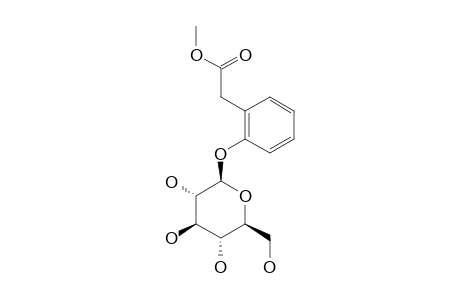 METHYL-2-(2-HYDROXYPHENYL)-ACETATE-BETA-D-GLUCOPYRANOSIDE