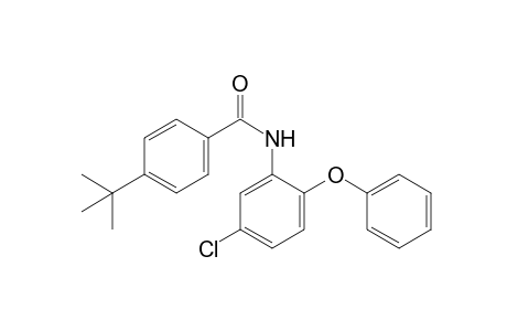 4-tert-butyl-5'-chloro-2'-phenoxybenzanilide