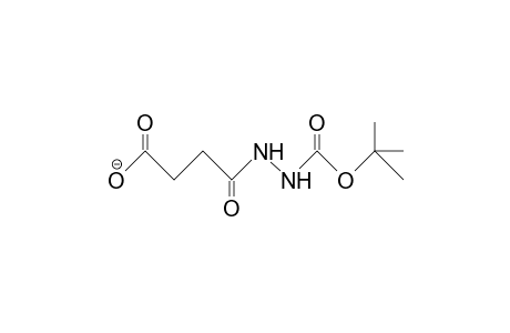 3-(3-Carboxy-propanoyl)-carbazic acid, tert-butyl ester anion