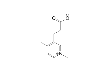 SULCATIN