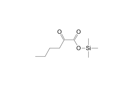 Trimethylsilyl 2-oxohexanoate