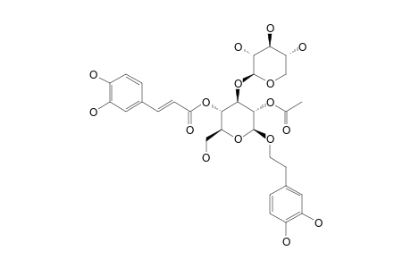 2'-O-ACETYL-CONANDROSIDE;AESCHYNANTHOSIDE-A