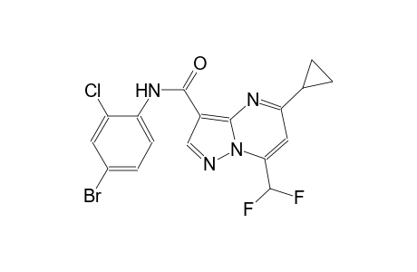 N-(4-bromo-2-chlorophenyl)-5-cyclopropyl-7-(difluoromethyl)pyrazolo[1,5-a]pyrimidine-3-carboxamide
