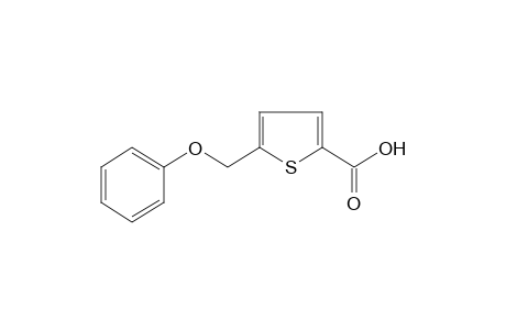5-(PHENOXYMETHYL)-2-THIOPHENECARBOXYLIC ACID