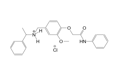 N-[4-(2-anilino-2-oxoethoxy)-3-methoxybenzyl]-1-phenylethanaminium chloride