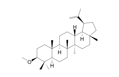 19.alpha.-H-Lupeol-methyl-ether