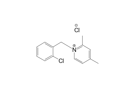 N-(2'-Chlorobenzyl)-2,4-dimethylpyridinium chloride
