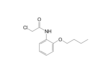 2'-butoxy-2-chloroacetanilide