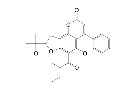 MAMMEA-A/AB-CYCLO-F;8,9-DIHYDRO-5-HYDROXY-8-(2-HYDROXYPROPAN-2-YL)-6-(2-METHYLBUTANOYL)-4-PHENYL-FURO-[2,3-H]-CHROMEN-2-ONE