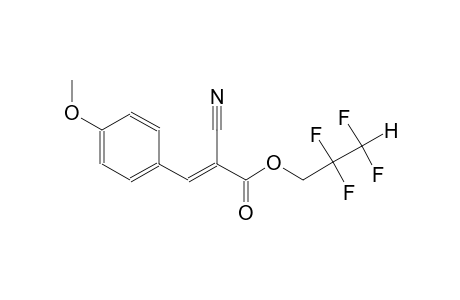 2-propenoic acid, 2-cyano-3-(4-methoxyphenyl)-, 2,2,3,3-tetrafluoropropyl ester, (2E)-