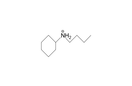 Butyl-cyclohexyl-ammonium cation