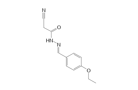 CYANOACETIC ACID, (p-ETHOXYBENZYLIDENE)HYDRAZIDE