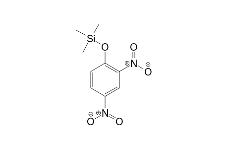 2,4-Dinitrophenol TMS