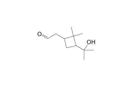 2-[3'-(1"-Hydroxy-1"-methylethyl)-2',2'-dimethylcyclobutyl] ethanal