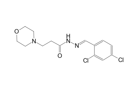 N'-[(E)-(2,4-dichlorophenyl)methylidene]-3-(4-morpholinyl)propanohydrazide