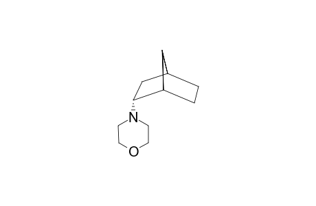 ENDO-N-MORPHOLINO-2-AMINONORBORNANE