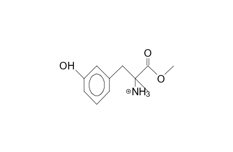 DL-A-Methyl-M-tyrosinium methyl ester cation