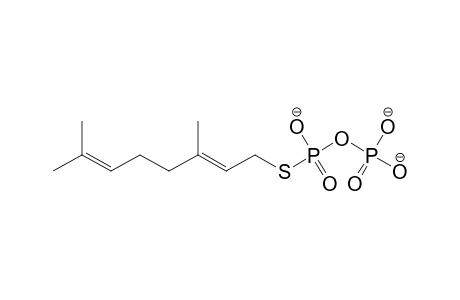 GSPP;(S)-(E)-3,7-DIMETHYL-2,6-OCTADIEN-1-YL-THIODIPHOSPHATE