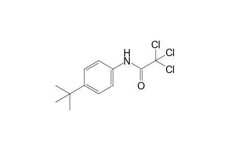 4'-tert-butyl-2,2,,2-trichloroacetanilide
